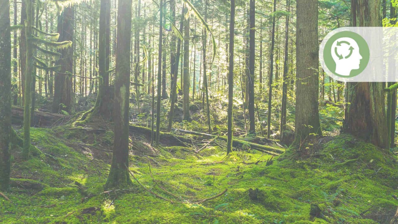 Wald mit grüner Denkweise Symbol